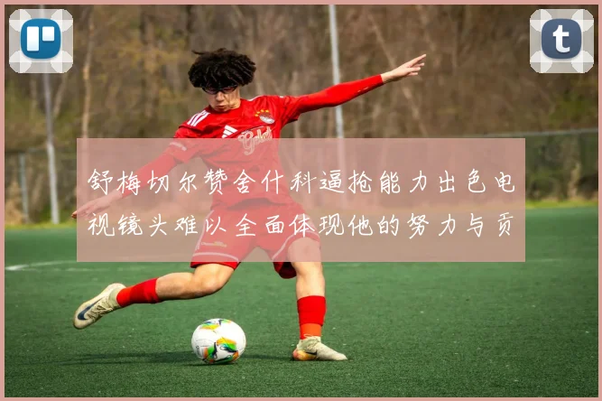 舒梅切尔赞舍什科逼抢能力出色电视镜头难以全面体现他的努力与贡献